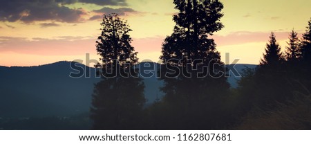 Lonely trees against a bright sky before sunrise. Silhouettes of hills, free area at the top of the picture . Panorama. Czech republic, Beskydy mountains.