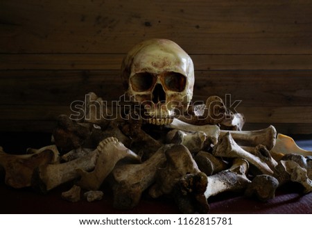 Skull on the pile of bones in dim light room and wooden wall background in Halloween day / Selective focus and Still Life Image 

