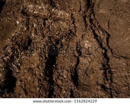 Mud and Sludge Texture Royalty-Free Stock Photo #1162824229