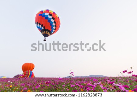 Hot air balloons are starting to float above the flower gardens and the tea plantations on the blue sky background in the early morning of the winter in Chiang Rai, Thailand.
Hot air balloon festival