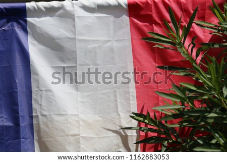 Close up outdoor view of the national flag of france with colors blue, white and red. Green laurel branch visible. Bright surface with shadows. Abstract symbol picture.