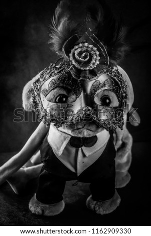 Dog doll Wearing fancy masks