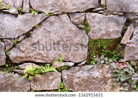 Gray rock wall with pink flowers and leaves.