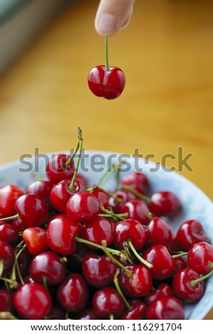 Fruits always remind people of appetite. The picture shows a beautiful looking and delicious red cherry./cherry/food