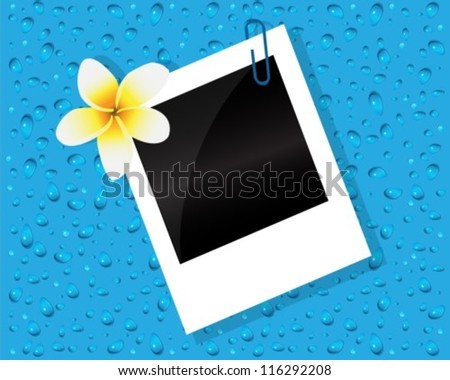Photo stitched with frangipani flower on a blue background with drops