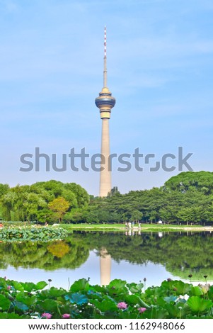 See the summer scenery of Beijing TV Tower Yuyuantan Park from Beijing Yuyuantan Park