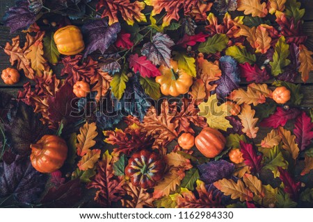 Creative autumn Halloween layout with various leaves and pumpkins on dark wooden backgound. Flat lay.