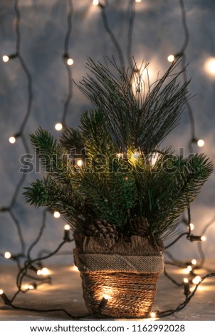 A Christmas holiday, a Christmas tree without ornaments in a pot on the background of a garland shines.