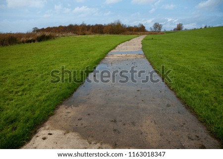 rural lane made of concrete after rain passes green grass next to a dike and leads to the swimming moor in Sehestedt, Germany while autumn season