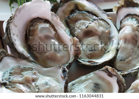 group of decorated raw fresh pacific big Oysters / Close up jelly animal at seafood restaurant, uncooked food unpearl oysters, delicious recipe menu with fresh vegetable and lemon side dish
