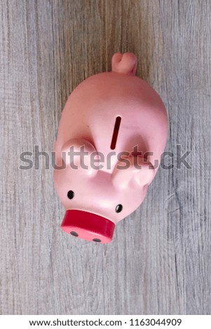 A studio photo of a piggy bank