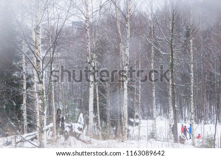 happy family into the white wood