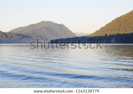 A view of the fishermen catching fish from boats on the Teletskoye lake. The Republic of Gorny Altai. The picture was taken in the evening at sunset, on a warm summer day, from the right bank.
