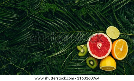 Top view of grapefruit, lime, kiwi, lemon and orange on palm leaves with copy space