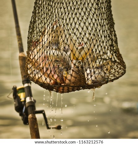 Tilapia Fishing in the Dam