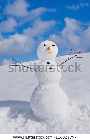 Snowman on nature in sunny cold day Royalty-Free Stock Photo #116321797