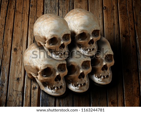 top-view of cracked and damaged human family skulls