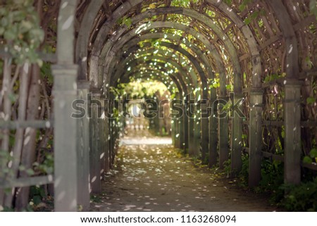 Wooden arch between trees