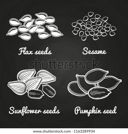 Sesame, pumpkin, sunflower and flax seeds isolated on chalkboard. Vector illutration Royalty-Free Stock Photo #1163289934