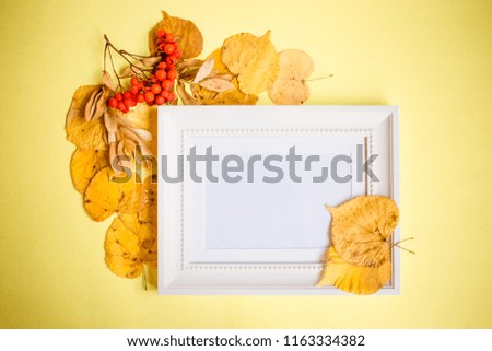 Seasonal autumn background. white frame with place for text, autumn leaves, rowan, pumpkin. Top view, flat lay, view from above.