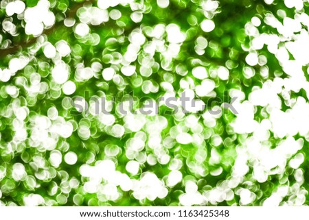 Natural green leaves bubble bokeh white background.