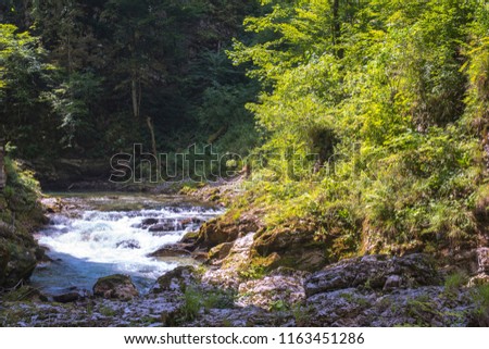 River in Valley of vintgar of slovenia