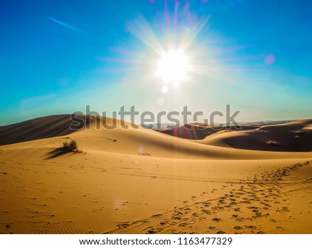 Picture perfect Sand dunes in Sahara Desert Morocco