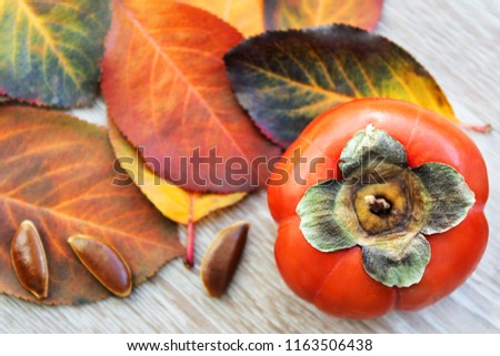 Autumn leaves, ripe persimmons. Can be used as a screensaver, postcard, element in design, background.