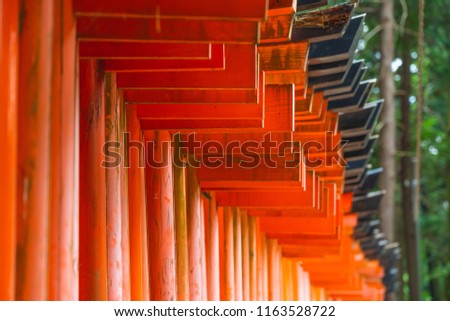Red and orange tori tunnel in Fushimi Inari Shrine in Kyoto,Kansai,Japan. It is one of the most famous place for tourist.