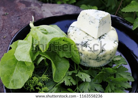 Handmade cheese with greens