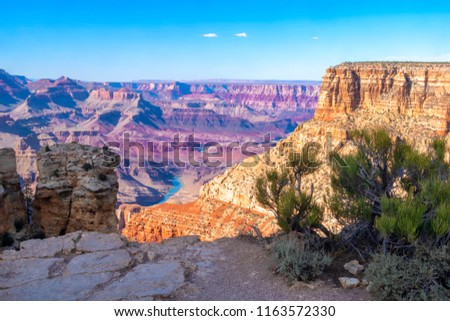 Grand Canyon south rim Royalty-Free Stock Photo #1163572330
