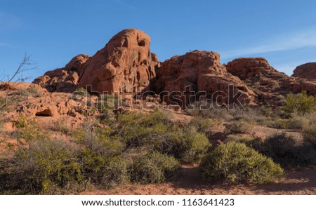 Sand stone formation in Valley of Fire State Park in Overton, Nevada, USA