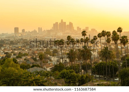 Los Angeles downtown evening skyline