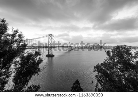 The View of the San Francisco Skyline and Bay Bridge from Treasure Island