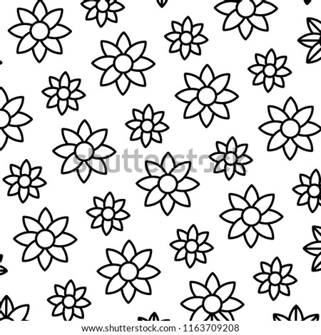 line beauty tropical flower and petals background