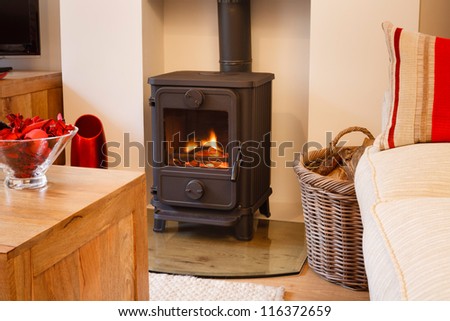 Wood burning stove Royalty-Free Stock Photo #116372659