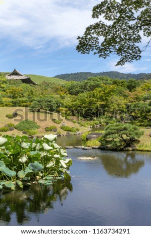 Beautiful Japanese garden. in NARA