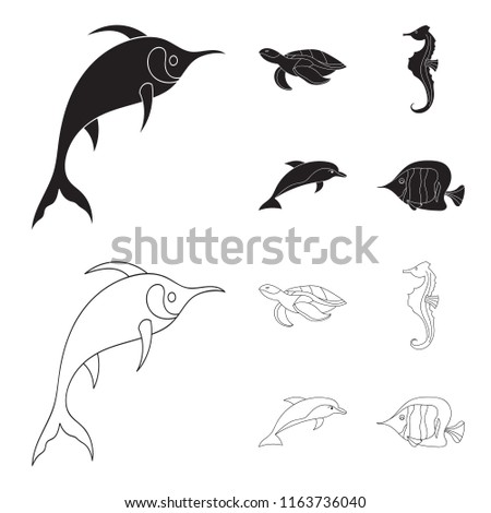 Merlin, turtle and other species.Sea animals set collection icons in black,outline style bitmap symbol stock illustration web.