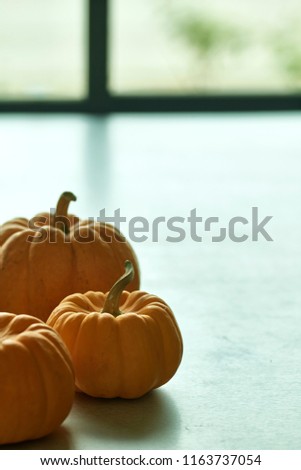 Jack O Lantern And Halloween Pumpkins On Table Back light Nature, copy space