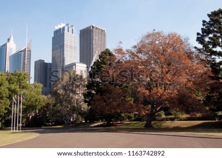 Sydney Australia, view of city buildings from  botanical gardens in autumn