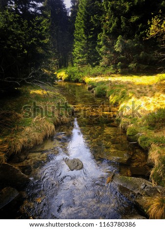 Small river with pure water and amazing nature around in National Park-Karkonosze,Poland.