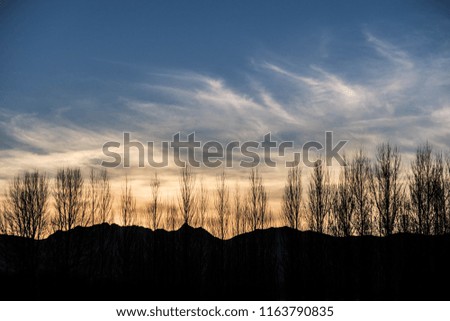An early morning landscape image of tree lines. As the sunrise, the clouds turn orange showing interesting formation. The trees formed silhouette patterns. This image suits background use.