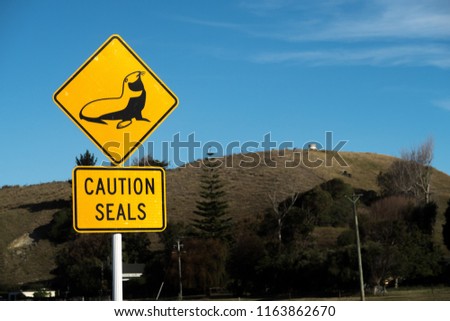 A caution seal signpost is typical along coastal roads in New Zealand. This image is also is suitable to express 'stop', 'caution', 'warning' and 'beware'.