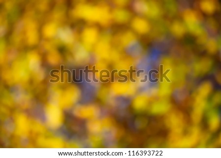 Blurred autumn leaves background