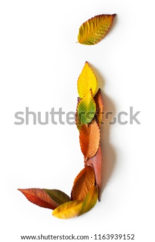 Letter J of colorful autumn leaves. Character J mades of fall foliage. Autumnal design font concept. Seasonal decorative beautiful type mades from multi-colored leaves. Natural autumnal alphabet.