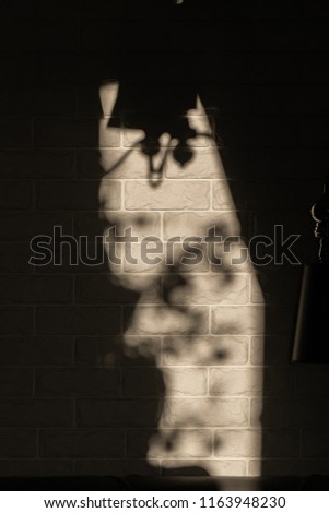 Shadow from a lamp on a brick wall
