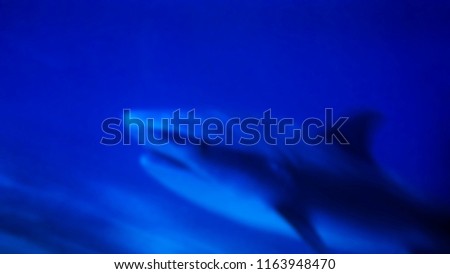 Depth of the sea, blue water background, shark at a depth, blurred background