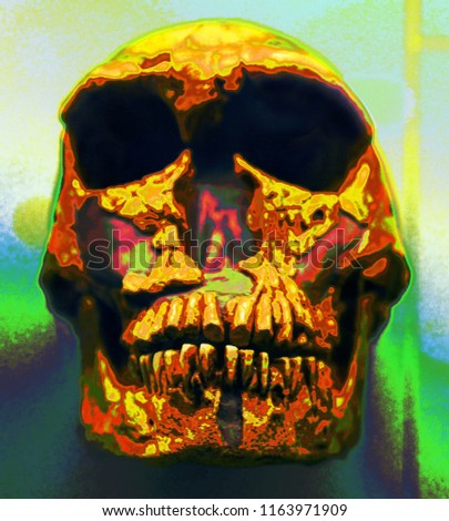 Human skull enhanced with digital effects.