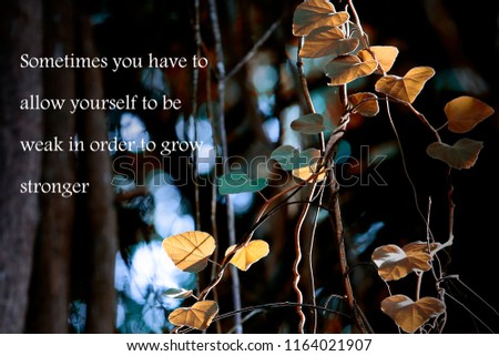 life quote. Inspirational quote on nature background. Motivational and business concept : Sometimes you have to allow yourself to be weak in order to grow stronger.
