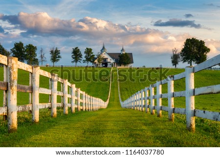 Horse Farm, Kentucky Bluegrass Royalty-Free Stock Photo #1164037780